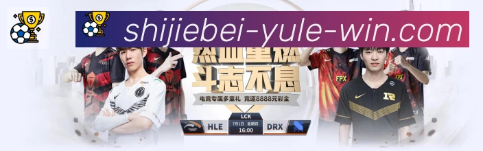 未来规划